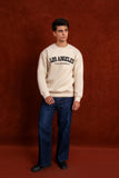 Men Crew Neck Printed Sweatshirt